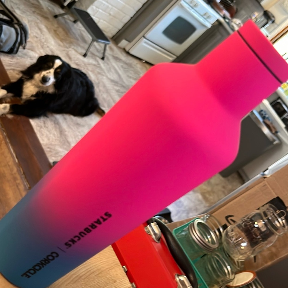Starbucks CorkCicle Soft Touch Summer Pink/Blue SS Kettle Water Bottle